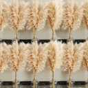 40" inch 60 Stems Natural Pampas Grass Decor Tall, pompas Grass, Tall Pampas Grass for Wedding, Party, Farmhouse, Boho Home Decor