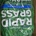 Scotts Turf Builder Rapid Grass Sun and Shade Mix, Grass Seed with Fertilizer for Full, Green Grass in Just Weeks, 16 lbs.