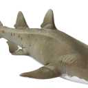 Safari Ltd. Sand Tiger Shark Figurine - Detailed 6.5" Plastic Model Figure - Fun Educational Ocean Play Toy for Boys, Girls & Kids Ages 3+