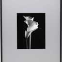 Mikasa Metal Portrait Frame, Displays 8x10 Photo with Mat, 16x20 without Mat, Black