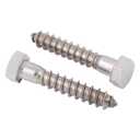 3/8 x 2-1/2 Stainless Lag Bolt (25-Pack) 18-8 Stainless Steel, Heavy Duty Hex Wood Lag Screw, ASME B18.2.1 Commercial/Industrial Grade by Makers Bolt