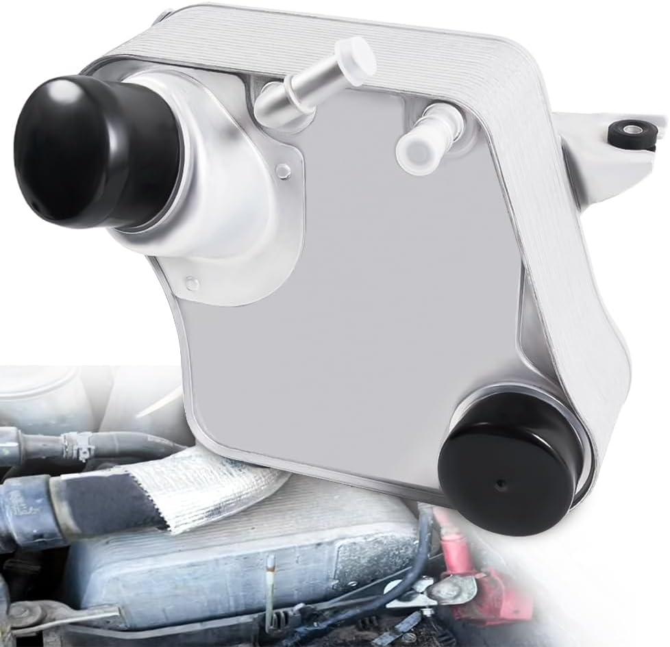 LEAPTREND BC3Z-6K775-B Intercooler, Engine Charge Air Cooler Assembly Compatible with Ford F250 F350 F450 F550 Super Duty 2011-2016 6.7L Replace BC3Z6K775B 14120389-101 41-20389AN