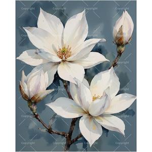 TAOPAOLAB Botanical Art Paint by Numbers Kit for Adults - DIY White Magnolia Flowers on Branch Painting on Canvas 16x20In, Framed Acrylic Paint Set for Beginners, Art for Home Decoration/Gifts