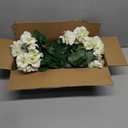 Hananona Artificial Geranium Flowers for Outdoors Geranium Silk Flowers Outdoor UV Resistant Garden Plants Faux Flowers for Home Kitchen Table Centerpieces Decor (12, White)