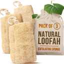 CraftsOfEgypt Natural Loofah Sponge  Egyptian Luffa Body Scrubber Pack of 3 for Men & Women, Natural Bath & Shower Loofah Exfoliator, All Natural Loofah Sponges for Face Back & Body, 6" x 6"