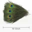 THARAHT 24pcs Peacock Feather Natural in Bulk 10-12 inch 25-30cm for Vase Craft Vase Wedding Home Party Christmas Day Decoration Peacock Feathers