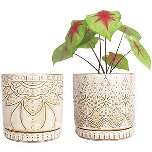 YFFSRJDJ 6 Inch Indoor Plant Pots with Drainage Holes and Saucers, Ceramic Planter for Plants, Flower Pot - Set of 2