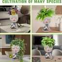 Face Plant Pots Head Planters - Face Flower Pot Head Planter with Cat, Succulent Pots with Drainage Hole, Resin Lady Planter for Indoor Outdoor, Home Decor, Mother's Day/Women Gifts