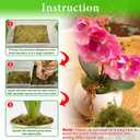Halatool 4.4LB Green Forest Moss Natural Sphagnum Moss for Plants Fluffy Orchid Moss for Orchids Repotting Dried Plant Moss for Potted Plants Indoor & Outdoor