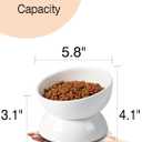 Cat Water Bowl, 16 OZ Ceramic Elevated Cat Bowls, 15 Tilted and Raised Pet Food Dish, Anti Vomiting Protect Pets' Spines and Whisker Fatigue (2 Pack, White)