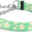 Serijoars Martingale Collar for Dogs Medium Large, Girl Dog Collars with Adjustable Soft Nylon and Special Daisy Floral Design, Training No Slip Dog Collar (Green, M)