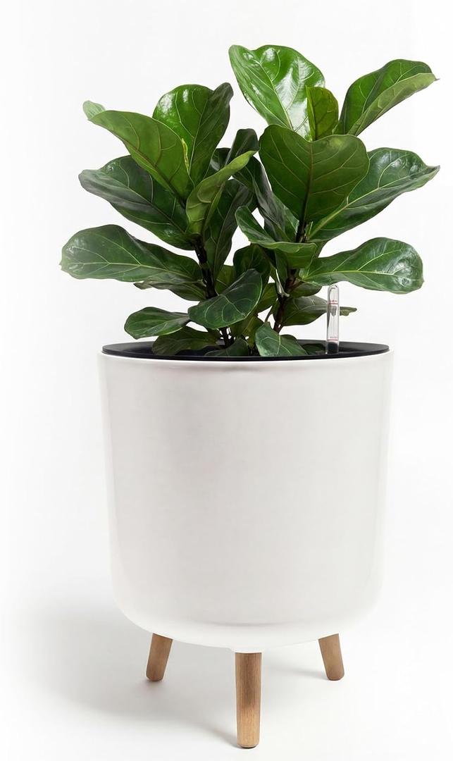 Bamworld Self Watering Pots for Indoor Plants with Water Level Indicator 12 inch Plant Pot Plastic Planter with Wooden Stand for Outdoor Plants Modern Dcor for Porch Patio White Large