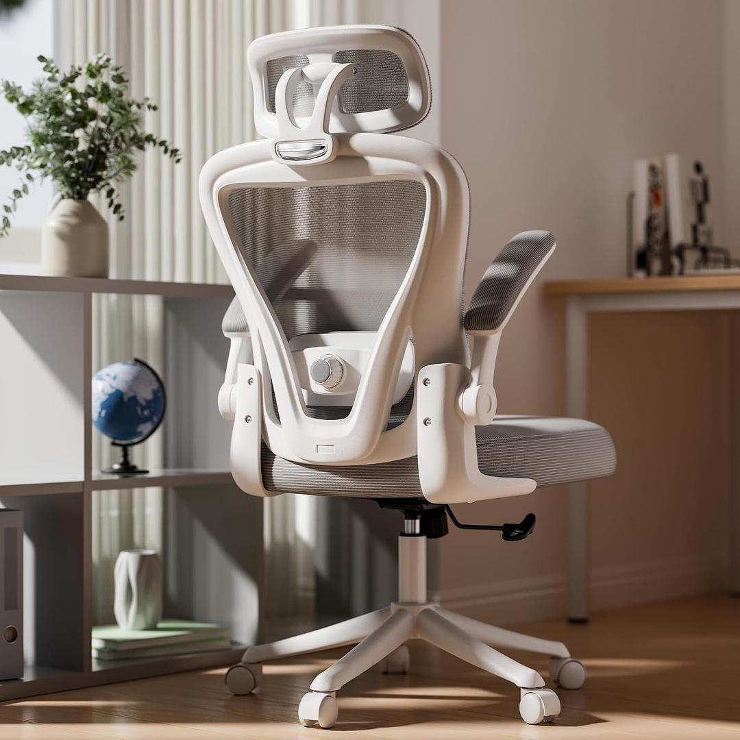SeekFancy Ergonomic Office Chair M903, Computer Desk Chair with Wheels, High Back Mesh Office Chair with Adjustable Lumbar Support, Headrest, Flip-Up Armrests, White Grey, Medium