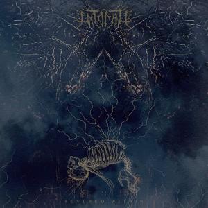 Severed WIthin [Random Mixed Color LP] by Intonate
