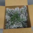 2ft Tabletop Mini Christmas Tree, Pre-lit Artificial Little Christmas Tree with 4 Colors Lights, Small Christmas Tree White Pine Cone Ornaments Burlap Base for Christmas Home Indoor Decorations