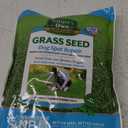 Nature's Own® Grass Seed Dog Spot - 1Lb