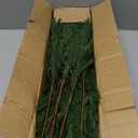 16-Pack 18" Artificial Norfolk Pine Branches: Real-Touch Christmas Greenery Stems for DIY Garland & Wreath Vase Filler Lifelike Indoor Holiday Decor