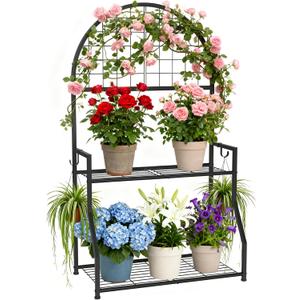 VGMiu 2 Tier Plant Stand Indoor Outdoor, Metal Plant Display Stand Plants Shelf Rack for Multiple Plants, Black Flower Plante Pots Holder for Patio Garden Balcony Living Room