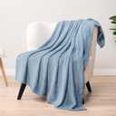 PAVILIA Dusty Blue Throw Blanket for Couch Bed, Soft Fleece Throws for Sofa Chair, Fuzzy Waffle Textured Blanket, Cozy Warm Lightweight All Season Blanket Throw, 50x60