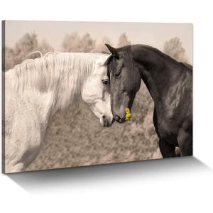 Ranch Horse Canvas Wall Art: Black and White Equines Friendly Painting Lovely Wild Animal Head Prints Country Wildlife Portrait Picture Modern Horizontal Steeds Artwork for Bedroom Office, 24"L x 16"W