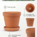Riseuvo 6 Inch Terracotta Pots with Saucers 4 Pack Medium Clay Flower Pots with Drainage HoleClay Pot for Succulents, Cactus and Indoor Plants, Wedding Favors
