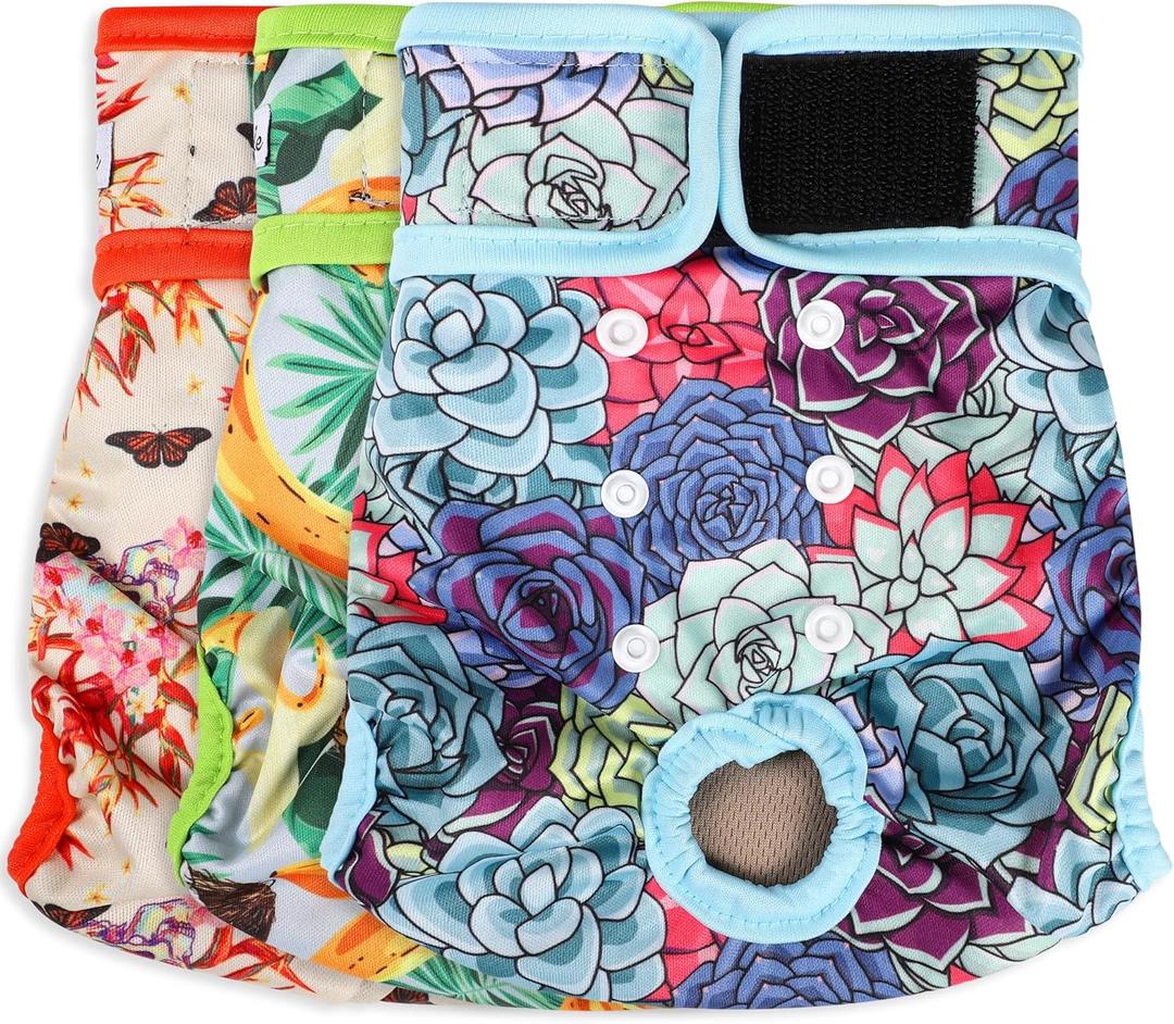 Washable Female Dog Diapers - Premium Reusable Diapers for Doggie in Heat - Highly Absorbent Dog Diapers Female for Pet Incontinence with Adjustable Snaps (Succulents, M)