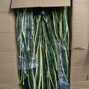 Crowye 6 Pack 3.15 Ft Tall Artificial Snake Plant Faux Sansevieria Plant Large Fake Snake Bulk in Pot for Home Office Housewarming Gift