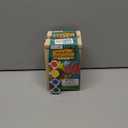 PAINT A BUG HOUSE KIT