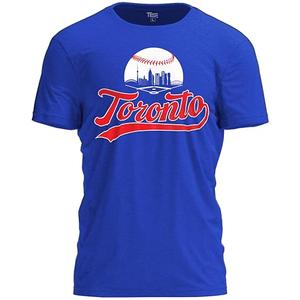 TeeStock Toronto Baseball Shirt Cityscape Fan T-Shirt with Urban Skyline Graphic Size L in Youth