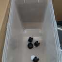 Mighty Tuff Airtight Dog Food Storage Container, Up to 36 lbs, with Portion Scoop  BPA Free Airtight Pet Food Bin on Wheels