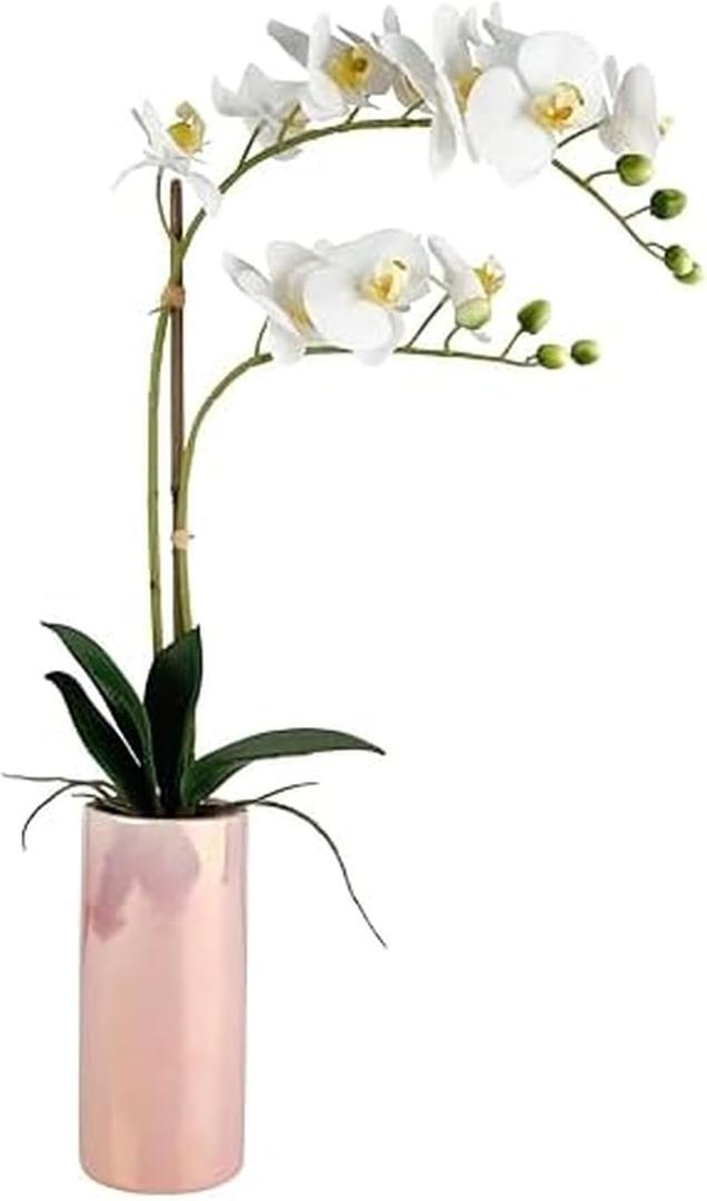 Dolly Parton White Artificial Orchid in Pink Ceramic Pot, 9.8x5.5x24 Inch