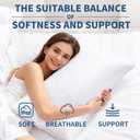 King Size Pillows Set of 2, Soft Fluffy and Supportive Hotel Collection Pillows 2 Pack for Side and Back Sleeper, Filled with Down Alternative Microfiber
