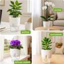 Planterhoma 8 Pack Self Watering Pots for Indoor Plants, 6 Inch Plant Pot Plastic Self Watering Planter for Orchid, African Violet, Small Clear Flower Pots with Drainage Holes and Wicking Rope, White