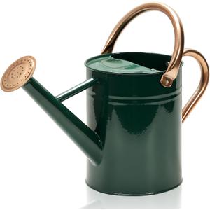 Metal Watering Can with Removable Spout, Galvanized Watering Can, Perfect for Indoor Use and for Outdoor Use (1 Gallaon, Green)