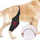 Dog Knee Brace with Adjustable Supportfor ACL & CCL Tears, Patellar Dislocations, Arthritis - Protects Joints for Return to Walking, Provides Extra Support, Reduces Pain and Inflammation, Large