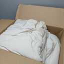 Litanika Queen Comforter Set Beige, 3 Pieces Lightweight Fluffy Solid Bedding Comforter Set, Down Alternative Comforter All Season Bed Set Gift Choice