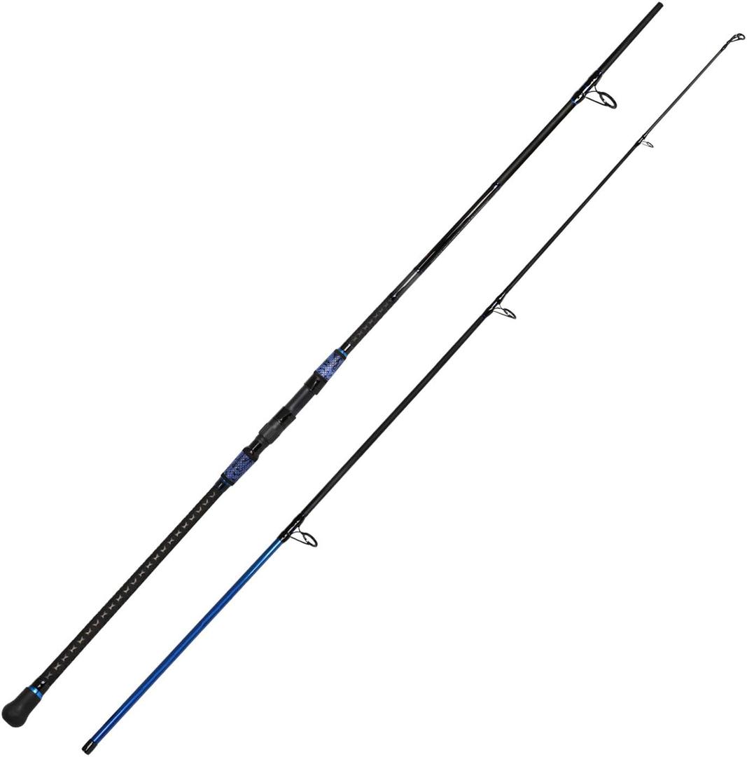 Fiblink Surf Spinning Fishing Rod Graphite Travel Fishing Rod (10 Feet - 2Pcs (Blue))