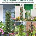 WellSign Garden Obelisk Trellis for Climbing Plants Outdoor, 6.6ft Tall Rustproof Coated Metal Plant Support with Garden Twist Tie for Tomato Cucumber Ivy Vines Rose Potted Plant Trellis 1 Pack
