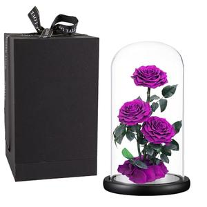 Purple Roses Handmade Rose in Glass Dome, Preserved Flowers Never Withered, Birthday Gifts for Women (13 inch)