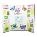 Flipside Products 36” x 48” Project Boards for Presentations, Science Fair, School Projects, Event Displays and Trifold Picture Board, Proudly Made in USA – Bleached White - 24 Pack