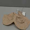 Wacoal Women's Halo Lace Unlined Full Coverage Underwire Bra, 65547 (36DDD)