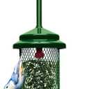 Squirrel Buster Standard Squirrel-proof Bird Feeder w/4 Metal Perches, 1.3-pound Seed Capacity, garden green