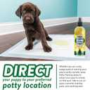 Bodhi Dog Potty Training Spray for Dogs - Pee Here Spray for Dogs & Puppies - Teaches The Right Spot Indoors or Outdoors - Works Great with Pee Pads - Made in USA (8oz)