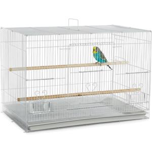 A&E Cage Co 503 White SP Flight Bird Cage 24" x 16" x 16" Small Bird Cage for Finches, Canaries & Parakeets Includes 2 Feeder Stations, Wood Perch, Slide-Out Tray & Carry Handle (White)