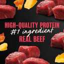 Cesar Loaf & Topper in Sauce Wet Dog Food Angus Beef Flavor with Bacon & Cheese, 3.5 oz. Easy Peel Trays, 24 Count (Pack of 1) (EXP 01/01/28)