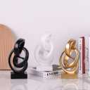 Modern Abstract Knot Sculpture, Artistic Mobius Inspired Resin Decor, Elegant Home and Office Decor, Perfect for Shelves, Desktops, and Mantles, Ideal Gift for Birthdays, Housewarmings (Black)