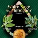 Air Wick Scented Oils 0+5 White Sage & Mahogany