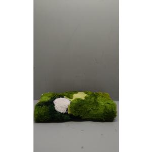 Cute Green Moss Bathroom Runner Rug Long Rectangular Boho Aesthetic Leaf Leaves Bath Mat Shaggy Non Slip Absorbent Shower Mat Decor (1'8" x 3'7" (Rectangular)
