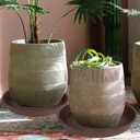 2 Pack of Plant Saucer 19", 2.3" Depth, 18 19 inch Plant Tray Saucer, Plant Dish for The Garden, Large Plant Saucer (19", Chocolate)