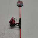 Ready 2 Fish Salmon Fishing Rod